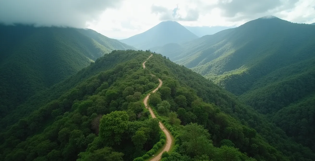 Vue aérienne du sentier de la Roche Écrite avec zonage de la réserve et sentiers autorisés clairement identifiés